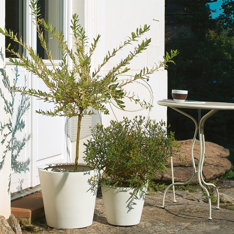 Pflanzt&ouml;pfe von amei